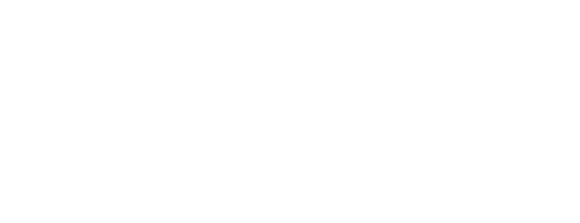 Carolina Silvani logo